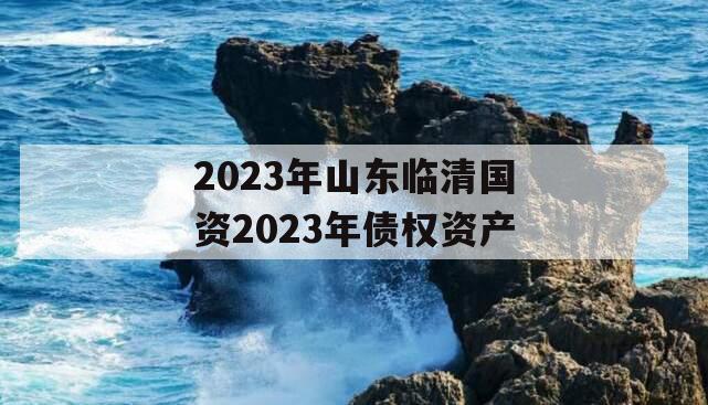 2023年山东临清国资2023年债权资产