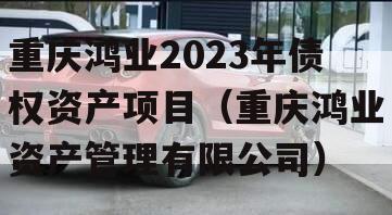 重庆鸿业2023年债权资产项目（重庆鸿业资产管理有限公司）