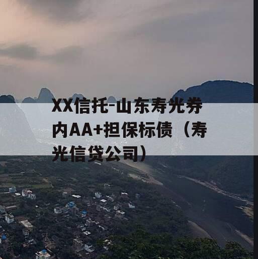 XX信托-山东寿光券内AA+担保标债（寿光信贷公司）