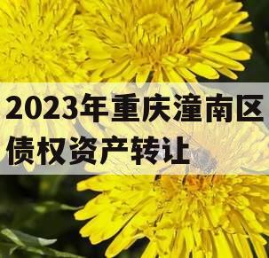 2023年重庆潼南区债权资产转让