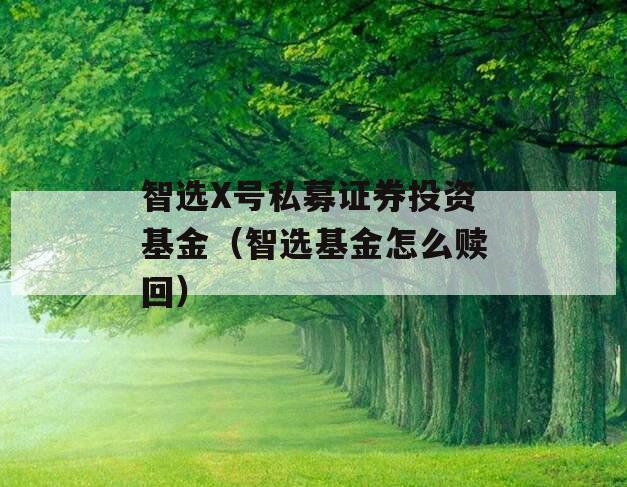 智选X号私募证券投资基金（智选基金怎么赎回）