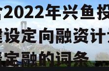 包含2022年兴鱼投资建设定向融资计划政府债定融的词条