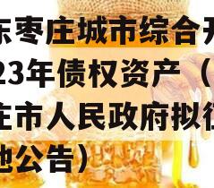 山东枣庄城市综合开发2023年债权资产（枣庄市人民政府拟征收土地公告）