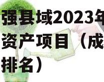 成都强县域2023年债权资产项目（成都市债务排名）