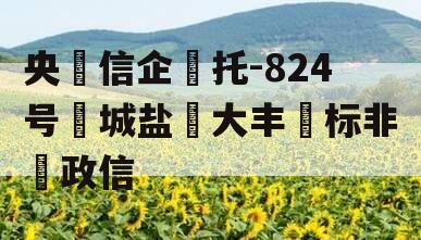 央‮信企‬托-824号‮城盐‬大丰‮标非‬政信