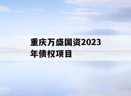 重庆万盛国资2023年债权项目