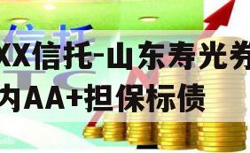 XX信托-山东寿光券内AA+担保标债