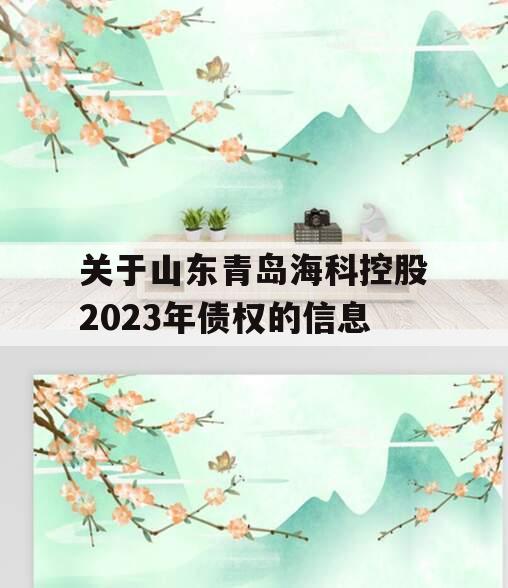 关于山东青岛海科控股2023年债权的信息