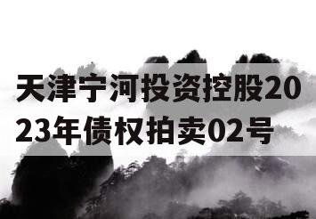 天津宁河投资控股2023年债权拍卖02号