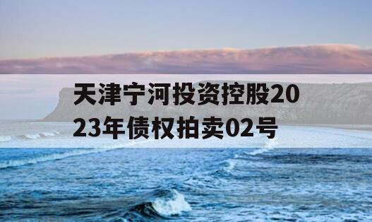 天津宁河投资控股2023年债权拍卖02号