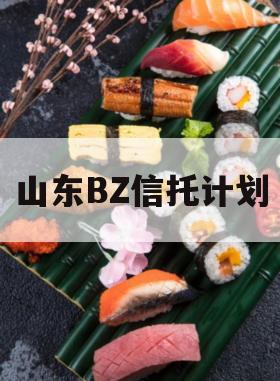 山东BZ信托计划