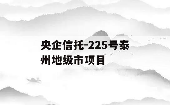 央企信托-225号泰州地级市项目