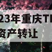 2023年重庆TN债权资产转让