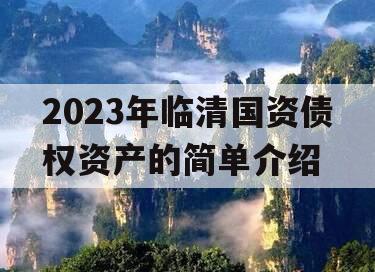 2023年临清国资债权资产的简单介绍