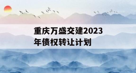 重庆万盛交建2023年债权转让计划