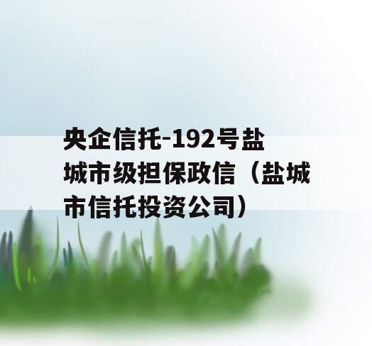 央企信托-192号盐城市级担保政信（盐城市信托投资公司）