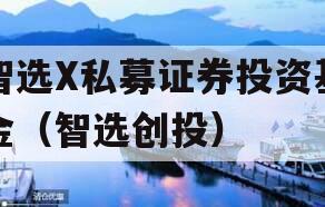 智选X私募证券投资基金（智选创投）