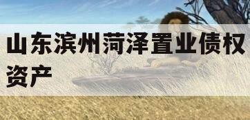 山东滨州菏泽置业债权资产