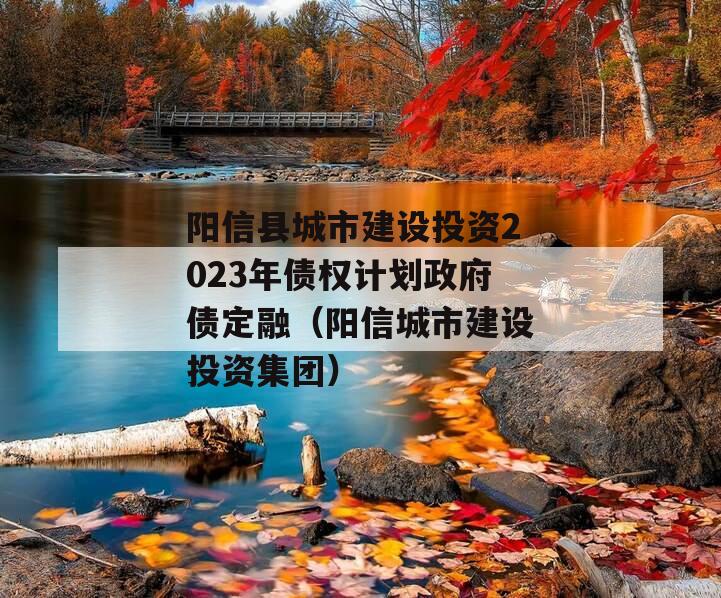 阳信县城市建设投资2023年债权计划政府债定融（阳信城市建设投资集团）