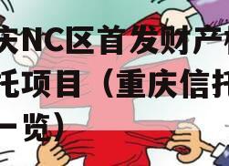 重庆NC区首发财产权信托项目（重庆信托产品一览）