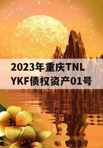 2023年重庆TNLYKF债权资产01号