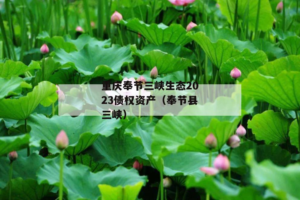 重庆奉节三峡生态2023债权资产（奉节县三峡）