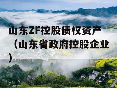 山东ZF控股债权资产（山东省政府控股企业）