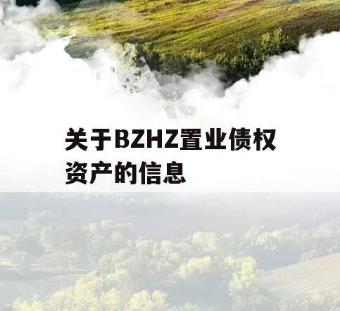 关于BZHZ置业债权资产的信息