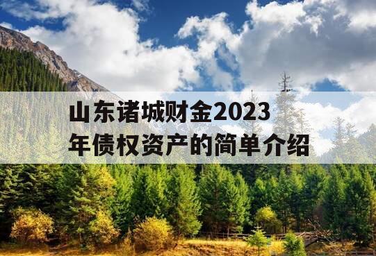 山东诸城财金2023年债权资产的简单介绍