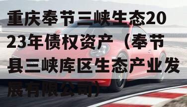 重庆奉节三峡生态2023年债权资产（奉节县三峡库区生态产业发展有限公司）