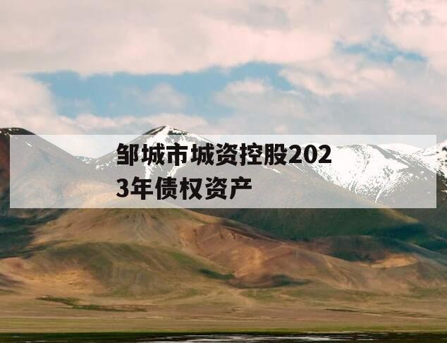 邹城市城资控股2023年债权资产