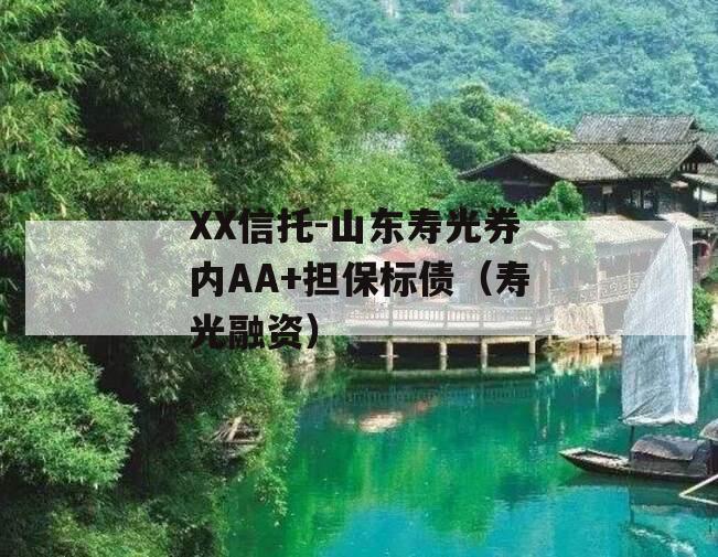 XX信托-山东寿光券内AA+担保标债（寿光融资）