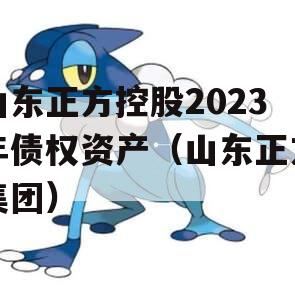 山东正方控股2023年债权资产（山东正方集团）