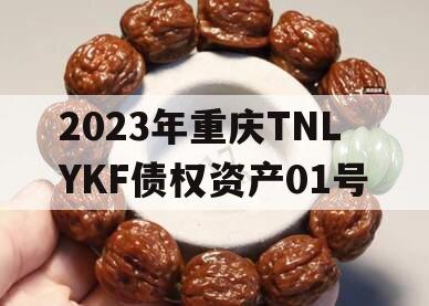 2023年重庆TNLYKF债权资产01号