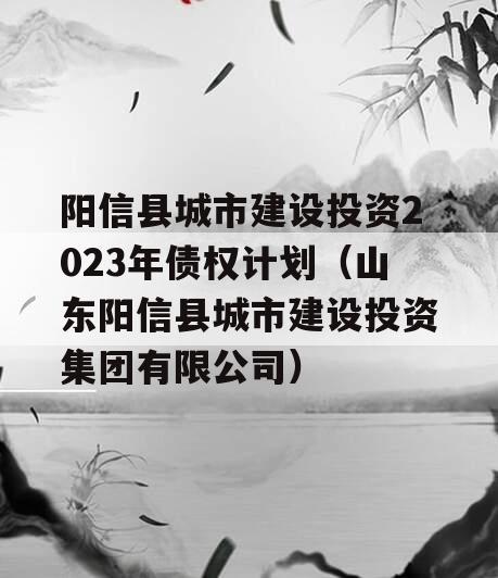 阳信县城市建设投资2023年债权计划（山东阳信县城市建设投资集团有限公司）