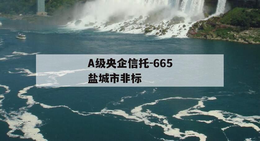 A级央企信托-665盐城市非标