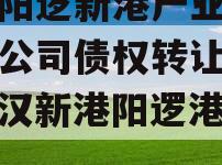 武汉阳逻新港产业投资有限公司债权转让计划（武汉新港阳逻港扩建）