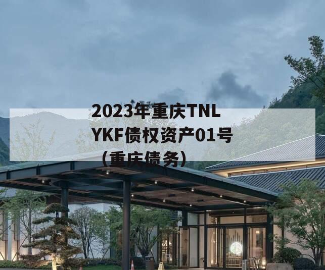 2023年重庆TNLYKF债权资产01号（重庆债务）