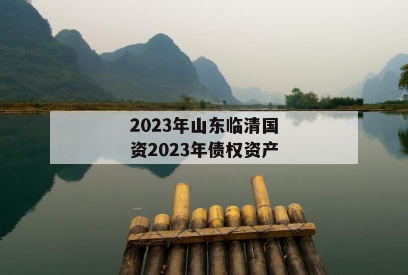 2023年山东临清国资2023年债权资产