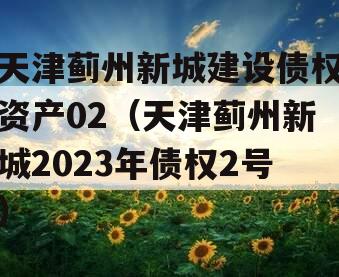 天津蓟州新城建设债权资产02（天津蓟州新城2023年债权2号）