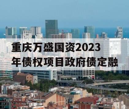 重庆万盛国资2023年债权项目政府债定融