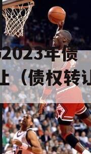 CJZG2023年债权转让（债权转让试点）