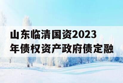 山东临清国资2023年债权资产政府债定融