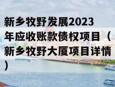 新乡牧野发展2023年应收账款债权项目（新乡牧野大厦项目详情）