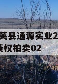 大英县通源实业2023债权拍卖02