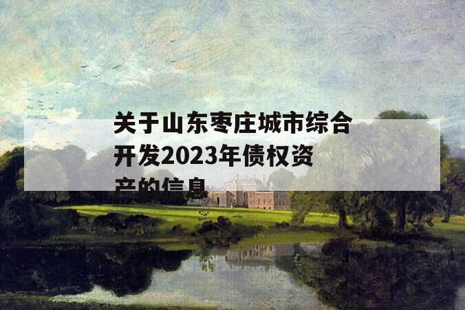 关于山东枣庄城市综合开发2023年债权资产的信息