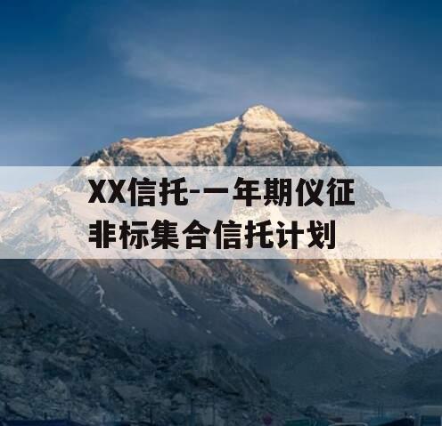 XX信托-一年期仪征非标集合信托计划