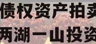 简阳两湖一山投资2023年债权资产拍卖（简阳两湖一山投资有限公司）