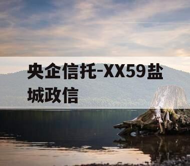 央企信托-XX59盐城政信