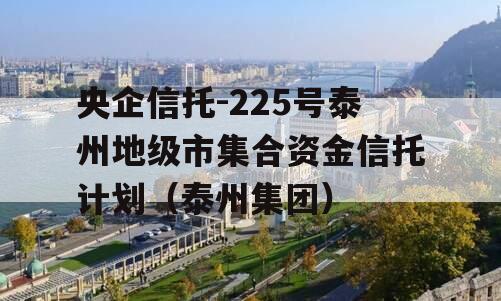 央企信托-225号泰州地级市集合资金信托计划（泰州集团）